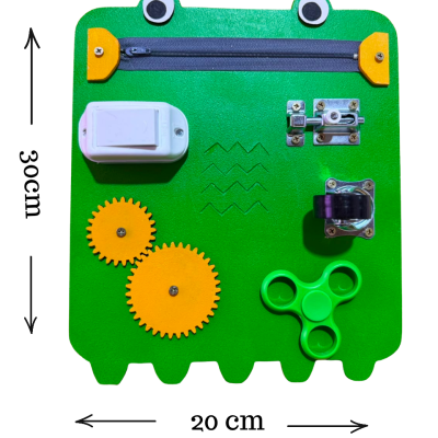 Panel didactico Rana