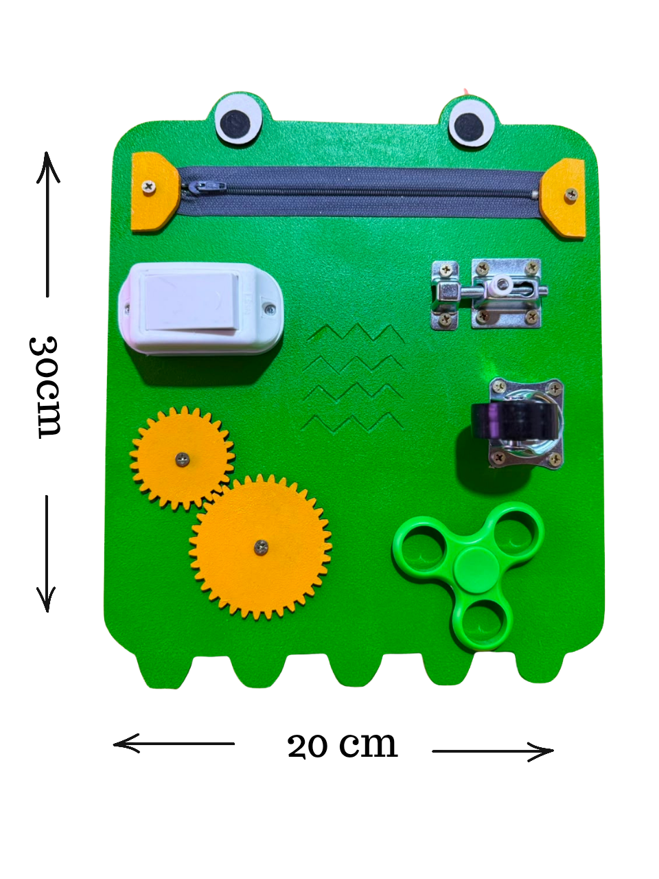 Panel didactico Rana