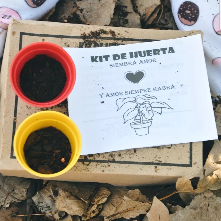 Kit de Huerta Infantil - Imagen 2