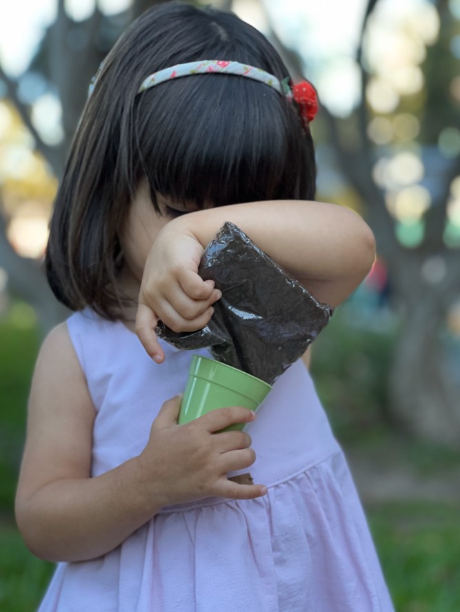 Kit de Huerta Infantil - Imagen 5