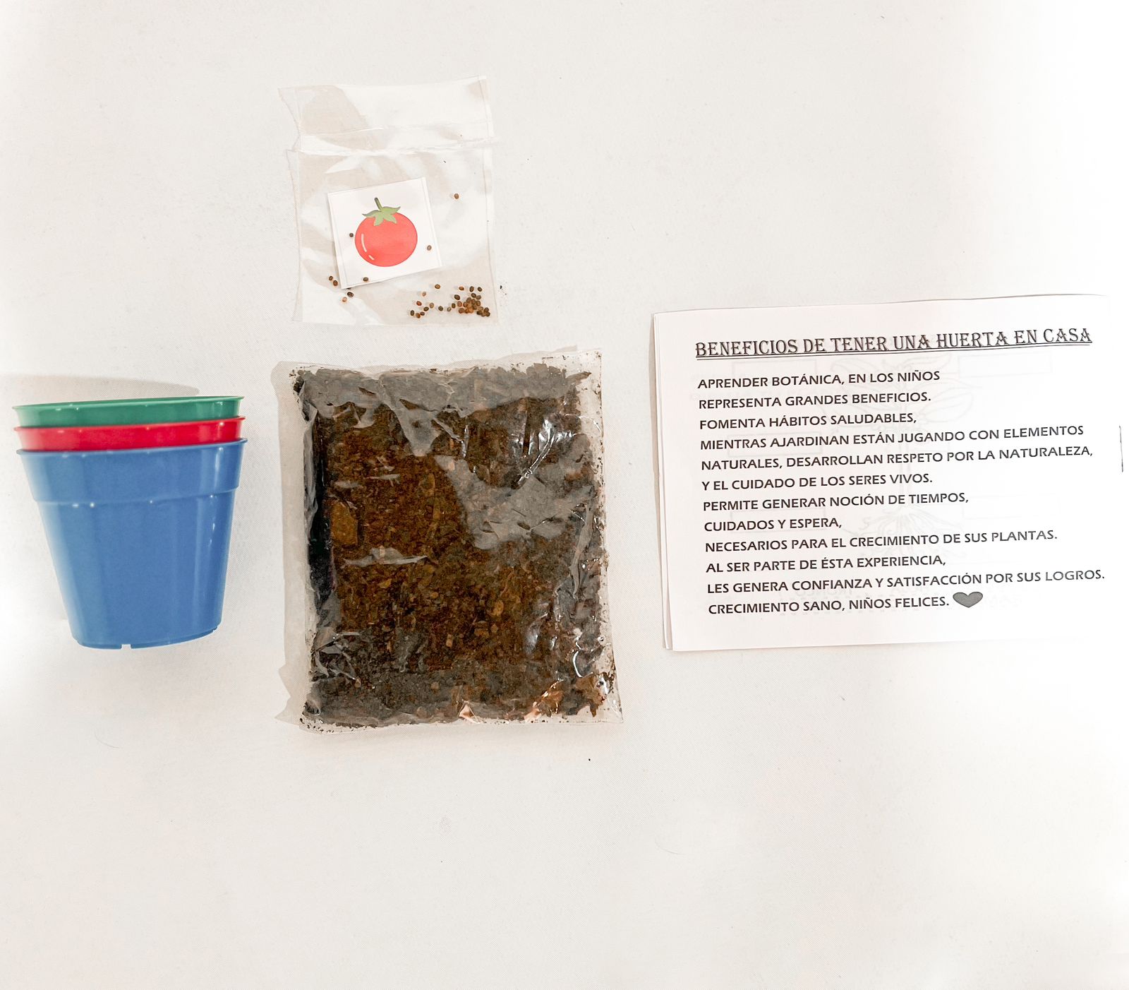 Kit de Huerta Infantil - Imagen 3