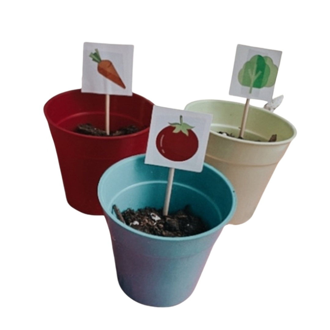 Kit de Huerta Infantil - Imagen 3